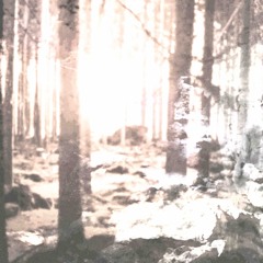 the oak