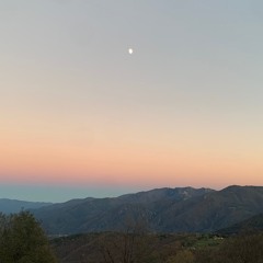 M A J E S I E M · Live session 19·12·23