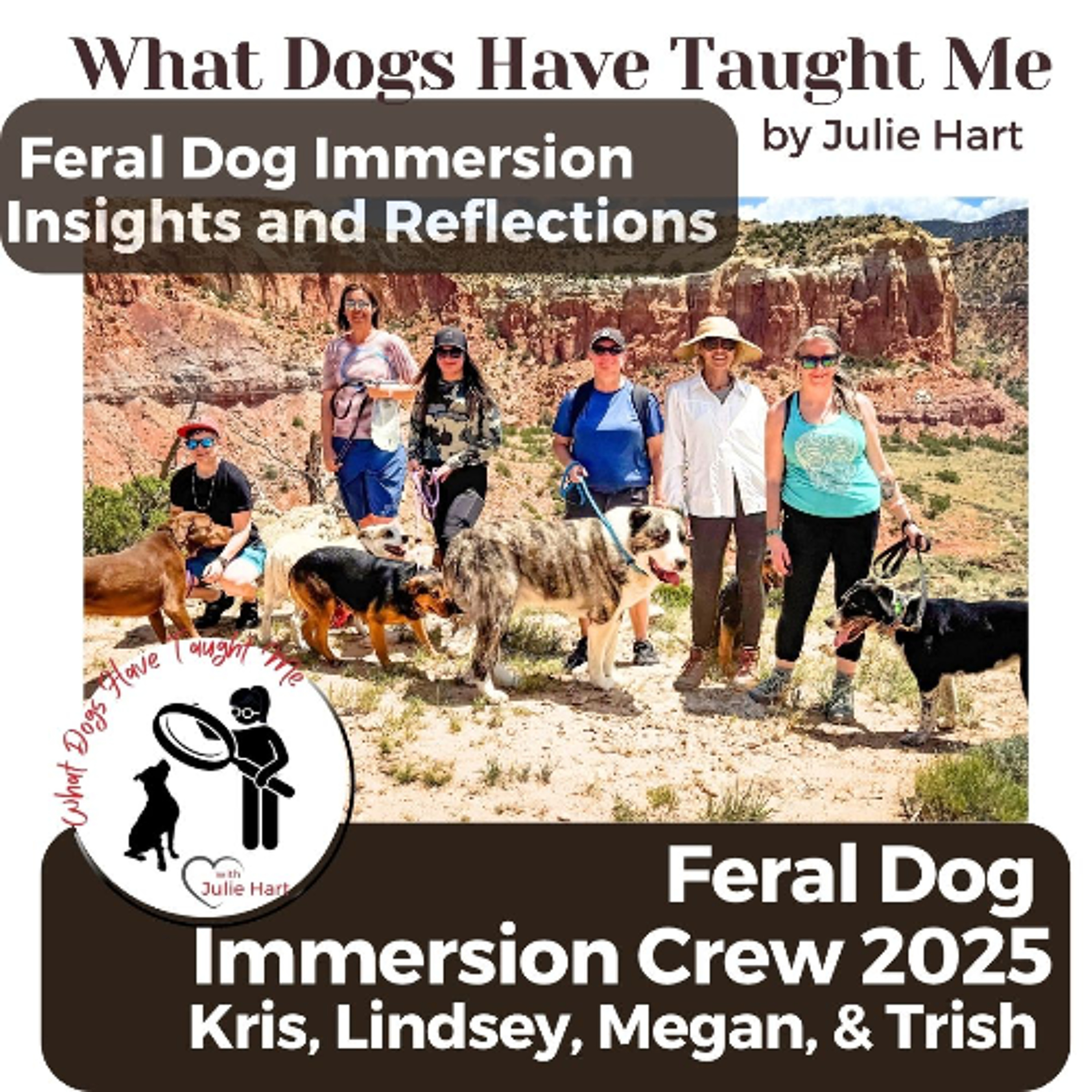 What Dogs Have Taught Me