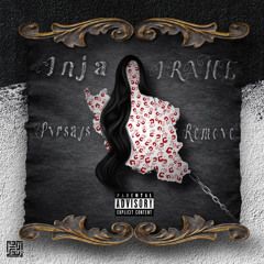 Inja Irane (feat . remove)