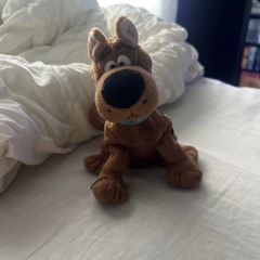 what's new scooby doo?