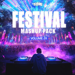 FESTIVAL MASHUP PACK VOL.01