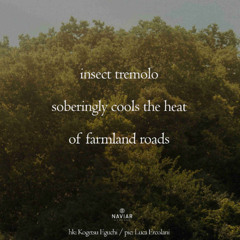 SONG 112 - NaviarHaiku603 - Insect Tremelo