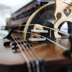 Sebastian Falk - Plains