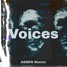 KSHMR & BROOKS - Voices [AEMIN REMIX]