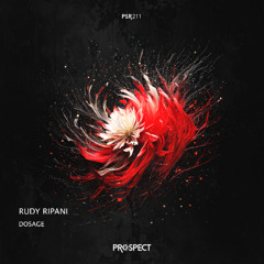 Rudy Ripani - Reset (Original Mix)
