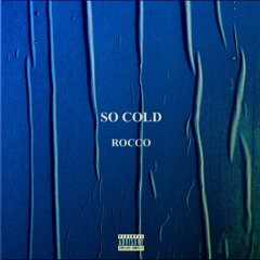 NEVERSOBER-So Cold
