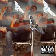 Birdz (Prod. Eliii3 I’s)