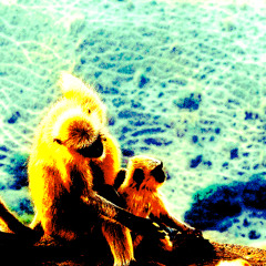 S2S Jamns 2026 - Day 05