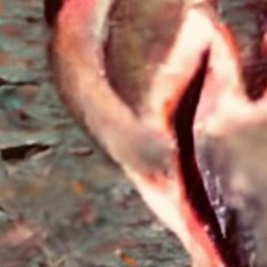 again:X(Prod.UNLUCKY)