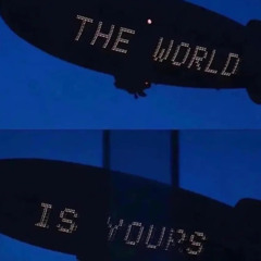 dog wit a stick remix