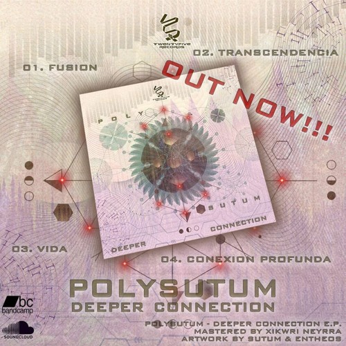 PolySutum_ Deeper Connection  By Twenty Five Records