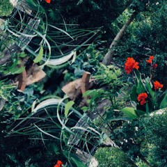 Garden Atmosphere