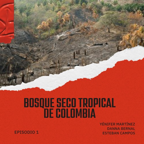 Stream Bosque Seco Tropical De Colombia By Jennifer Martinez Albadan Stream Bosque Seco Tropical De Colombia By Jennifer Martinez Albadan