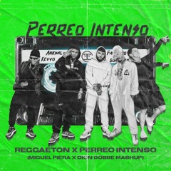 Reggaeton X Perreo Intenso (Miguel Piera X Dion Dobbe Mashup)