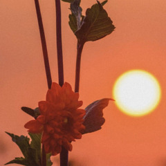 BXfressh - Treat Me Right (PROD. By ThatBoineco)