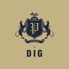 DIG  - Out Now