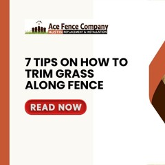 7 Tips on How to Trim Grass Along Fence