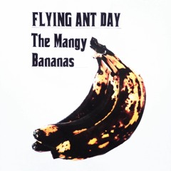 The Mangy Bananas