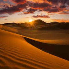 CHilL-BiEnT In ThE DeSeRt ____Mixed by AiliA