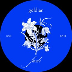 Camélia Jordana - Facile (goldian remix)