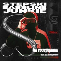 Stepski, Bassline Junkie - На Созерцании (Blasta Remix)