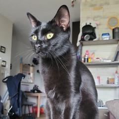 NAKED (Uphoria Remix)ADTAM///3034EVER 66Hz