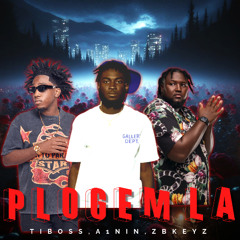 PLOGEM LA (feat. A1NIN & ZBKEYZ
