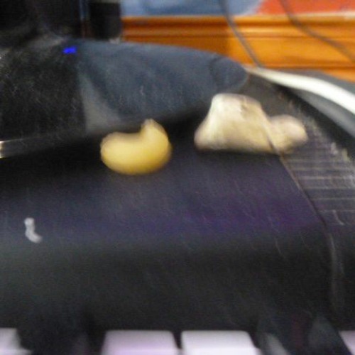 32 Frecuency Ft Pipi