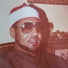 تلاوة خيالية - الشيخ محمد عمران - من سورة الرعد - يبحر متضرعا