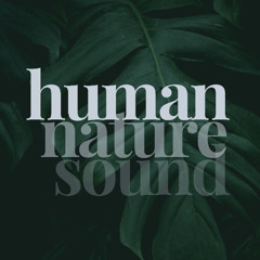 Windy trees and leaves