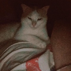 địt cả lò nhà mày