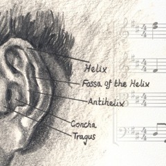 Trained Ears 25