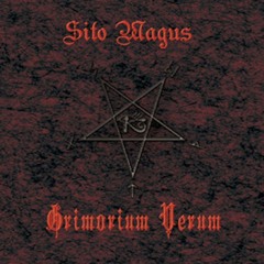 Sito Magus-into the chaos