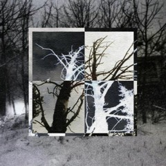 Saty - Vadia de franja #Satycore