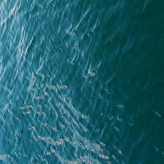 AVERAGE - Battle Flips #29