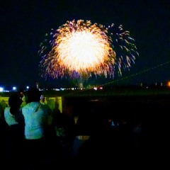 好きなんだけどね