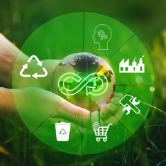Certified Sustainability Consultant in Ireland – Trusted Support for Greener Business