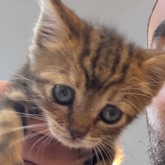 [PRERELEASE] “So In Luv -La La La”