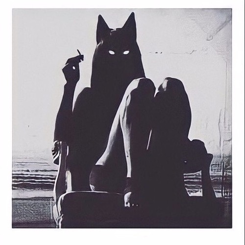 Shadow