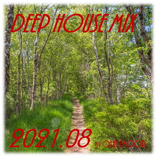 Deep House Mix 2021.08 by Olaf TMoor