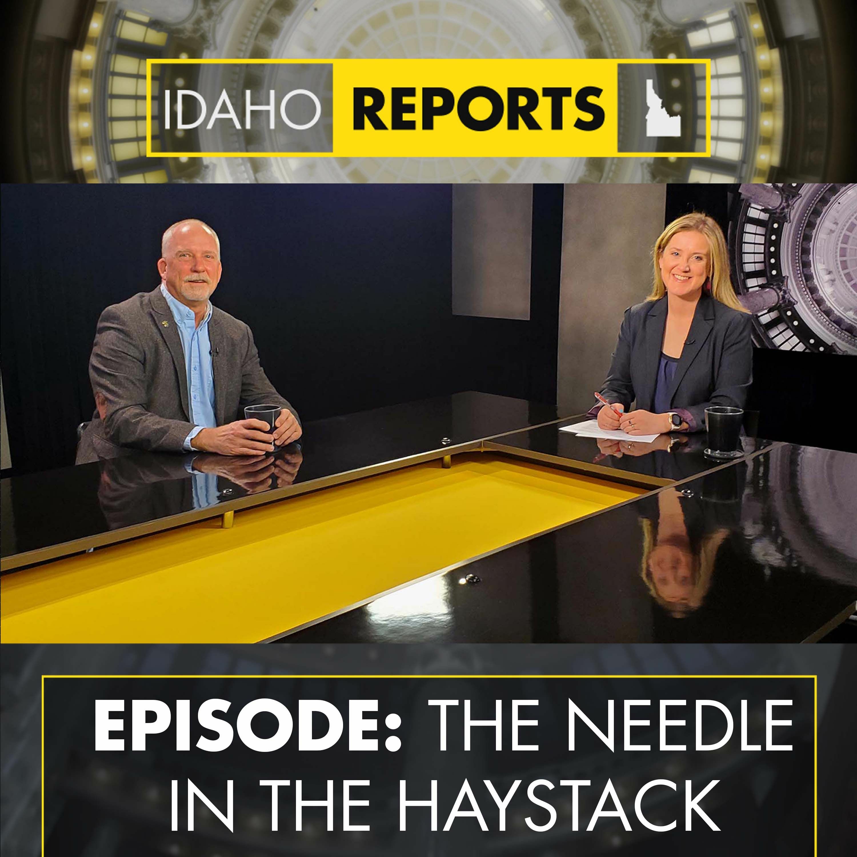 Season 50 Episode 7: The Needle in the Haystack episode artwork