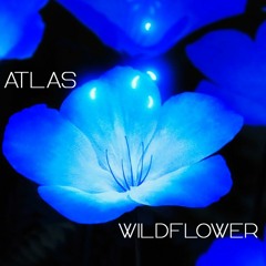 Wildflower - Funky House Mix (feat. Dombresky, Bleu Clair, Tchami)