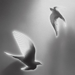 perseverance (in the face of grief)