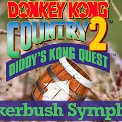 Stickerbush Symphony [Donkey Kong Country 2]