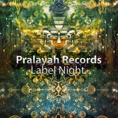Villonix @ Pralayah Label Night