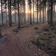 Indian summer session