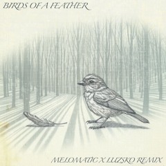 Billie Eilish - BIRDS OF A FEATHER (MELOMATIC x Luzsko Remix)