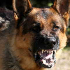 it sounds like a dream - a very sweet one. the only thing missing in it is your presence