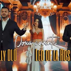 Leo de la Rosiori ❎ Willy DLO ❎  Doua cuvinte